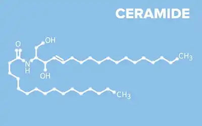 Crema-Gel Hidratantă SPF20 creată de brandul cosmetic Viorica are la bază o formulă activă cu ceramide vegetale. Descoperă beneficiile acestor compuși de origine naturală