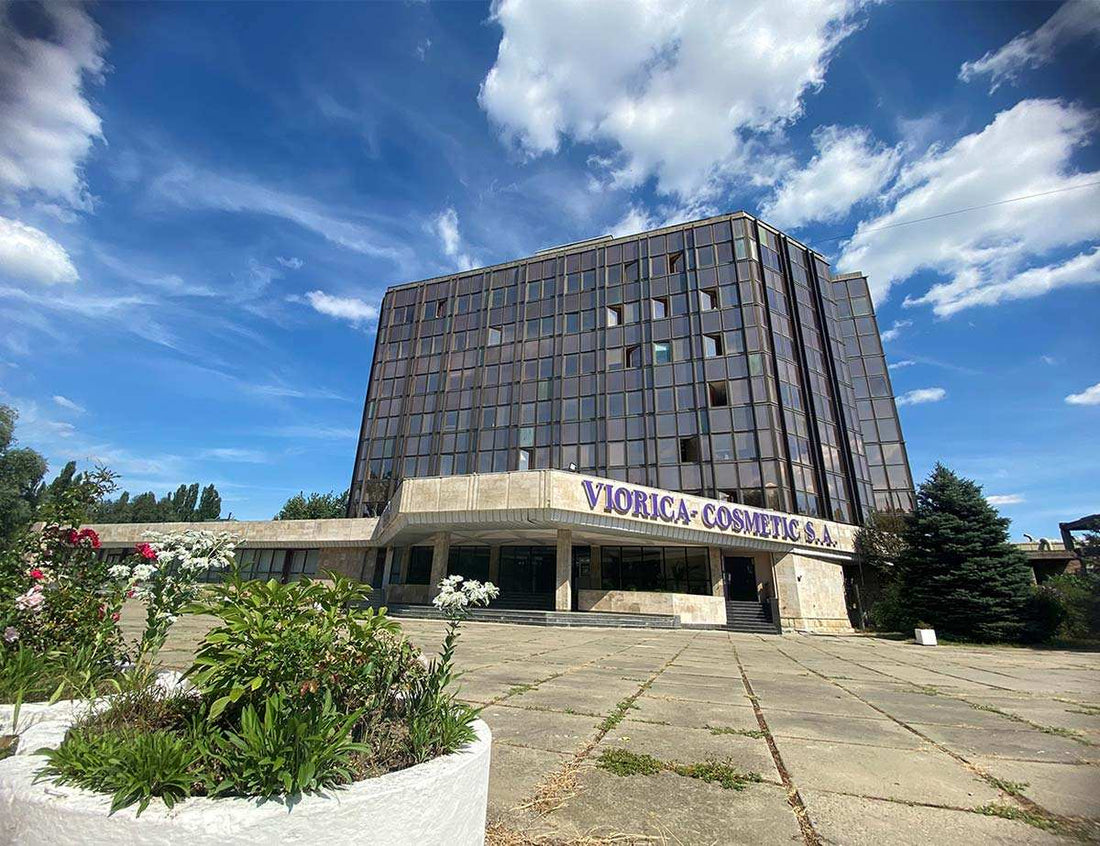 33 de momente foto din viața companiei noastre