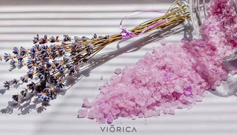 Levănțica – planta care a uimit omenirea  încă 2500 de ani în urmă