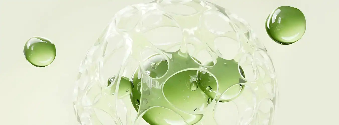 Ceramide vegetale