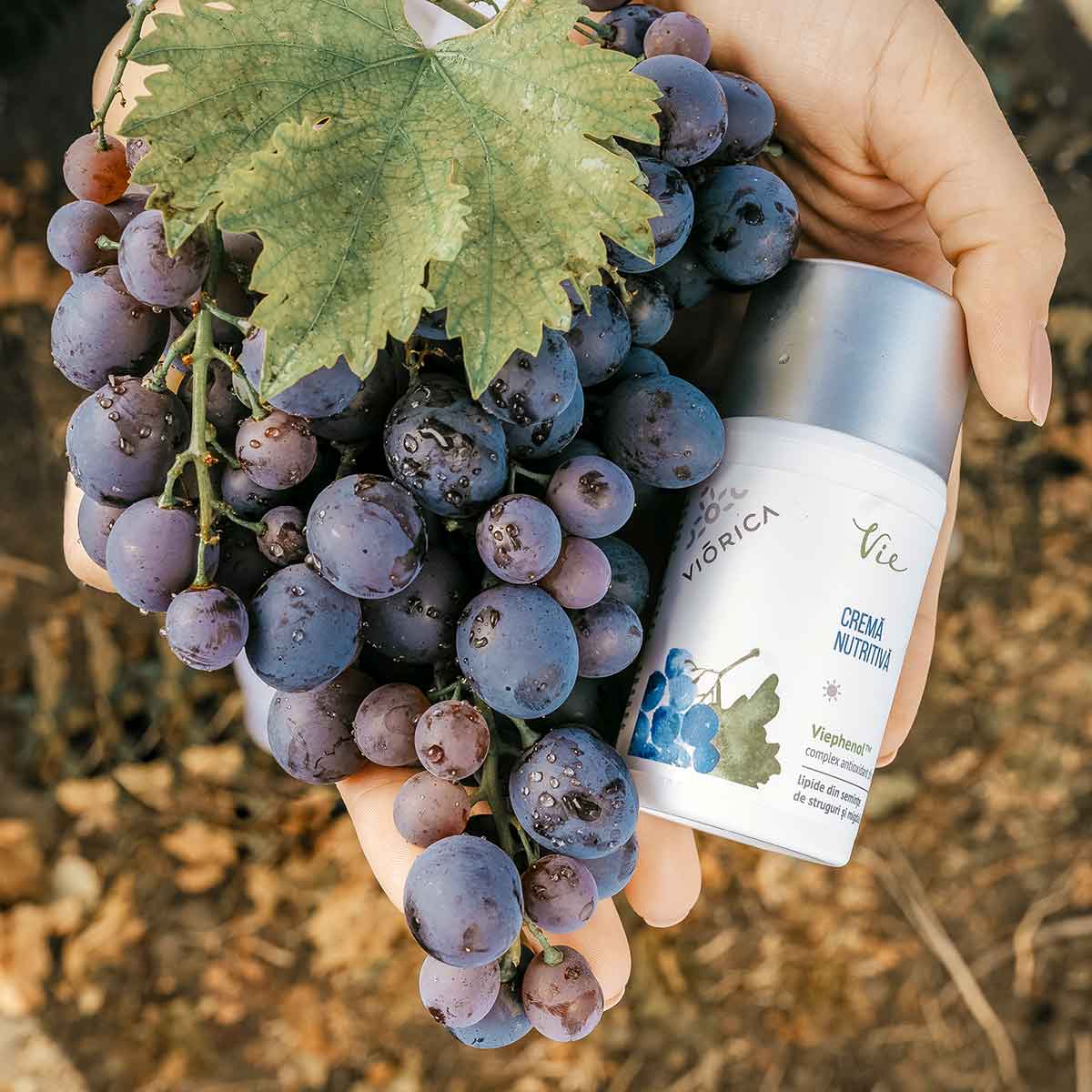 Cremă nutritivă, Viorica Vie