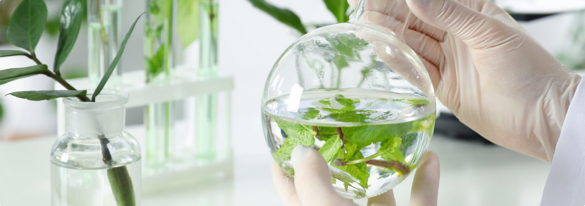 Știința în Cosmetice